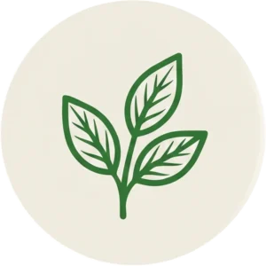 Icon 4
