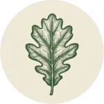 Icon 5