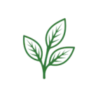 Leaf (2)